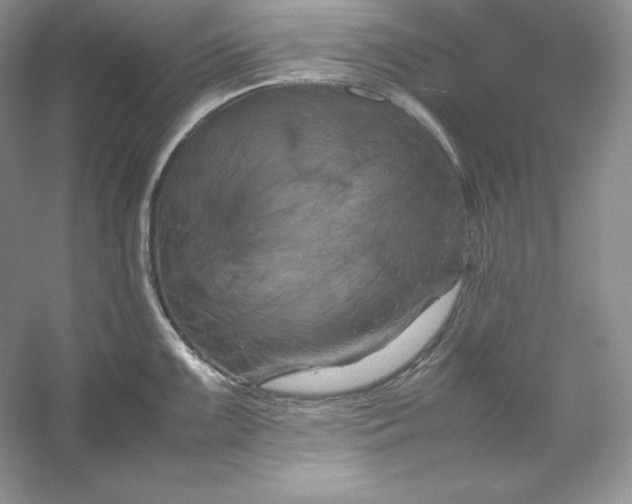X0000053131099200507251743