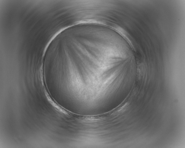X0000053131100200507251743