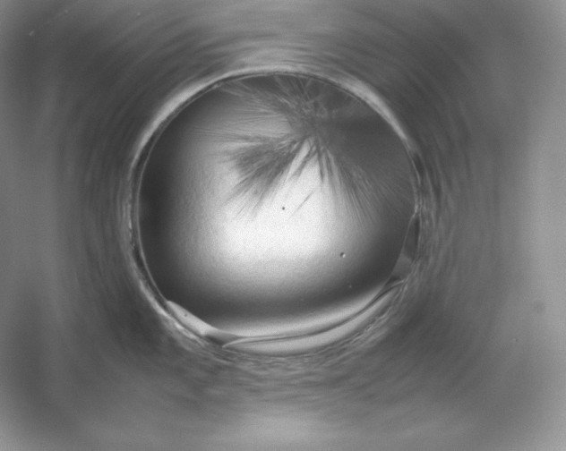 X0000053131101200507251743