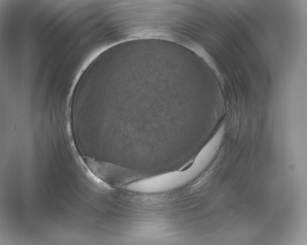 X0000053131102200507251743