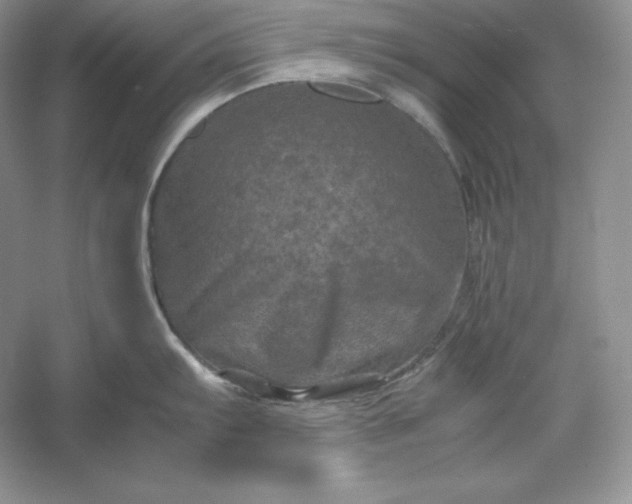 X0000053131103200507251743