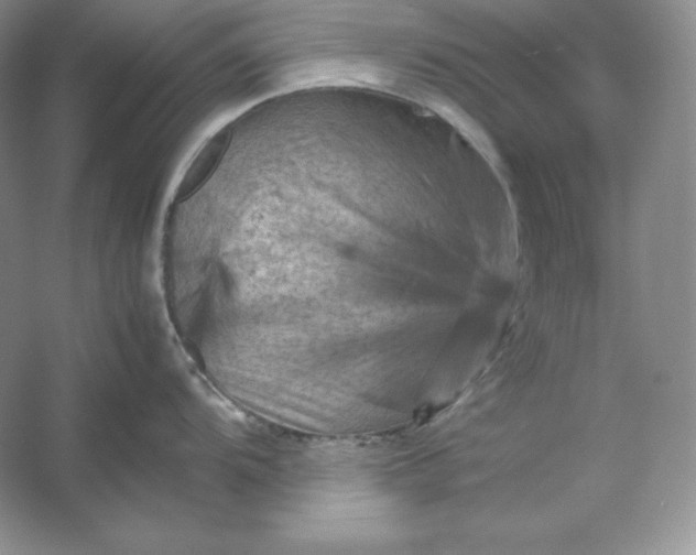 X0000053131104200507251743