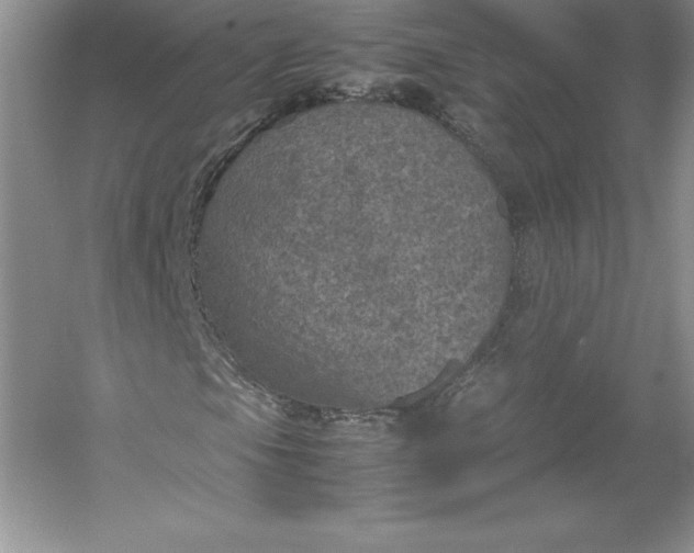 X0000053131105200507251742