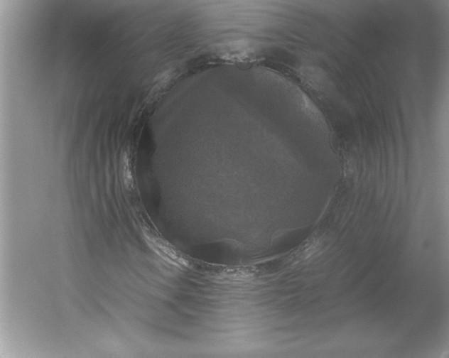 X0000053131106200507251742