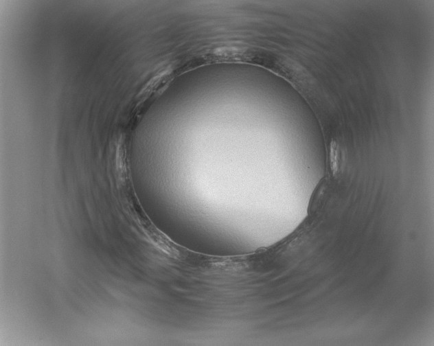 X0000053131107200507251742