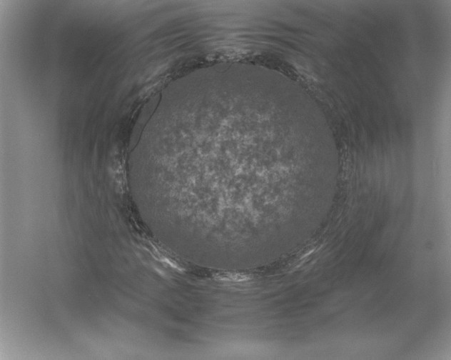 X0000053131109200507251742