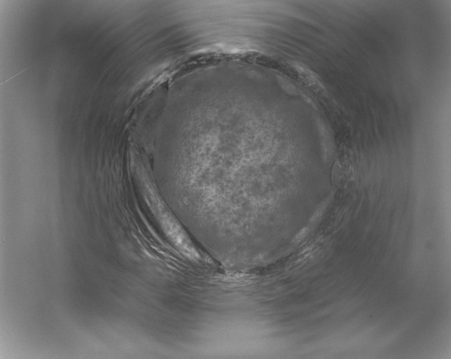 X0000053131110200507251742