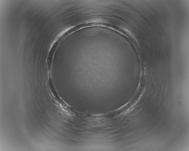 X0000053131117200507251742
