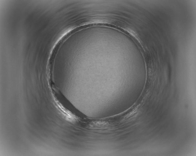 X0000053131119200507251742