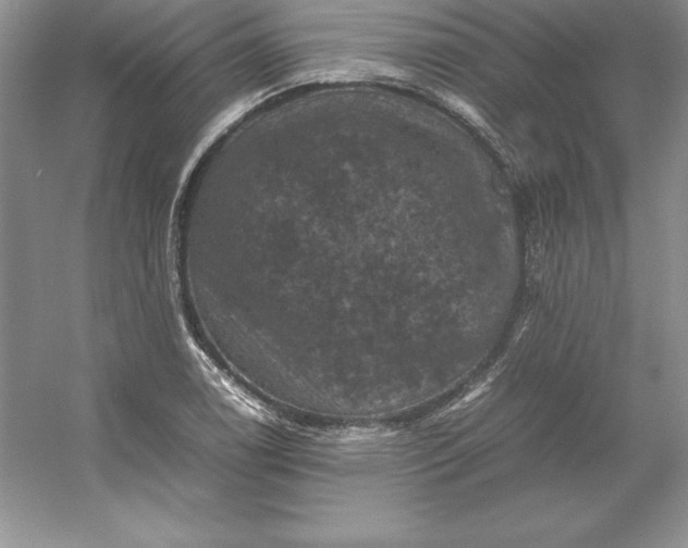 X0000053131122200507251742