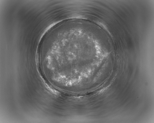 X0000053131125200507251742
