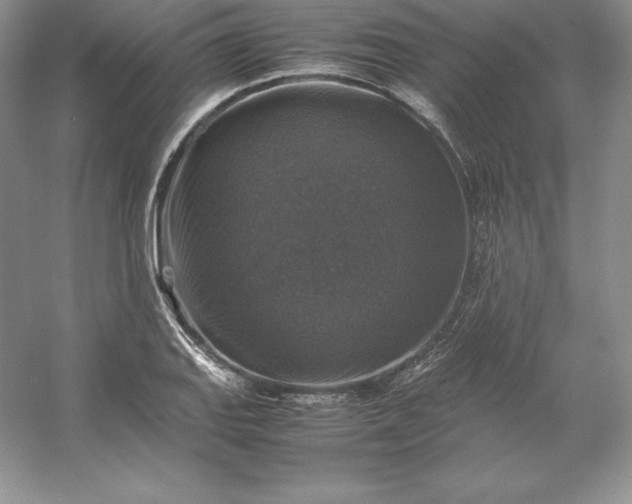 X0000053131127200507251742