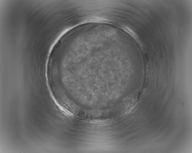 X0000053131128200507251742