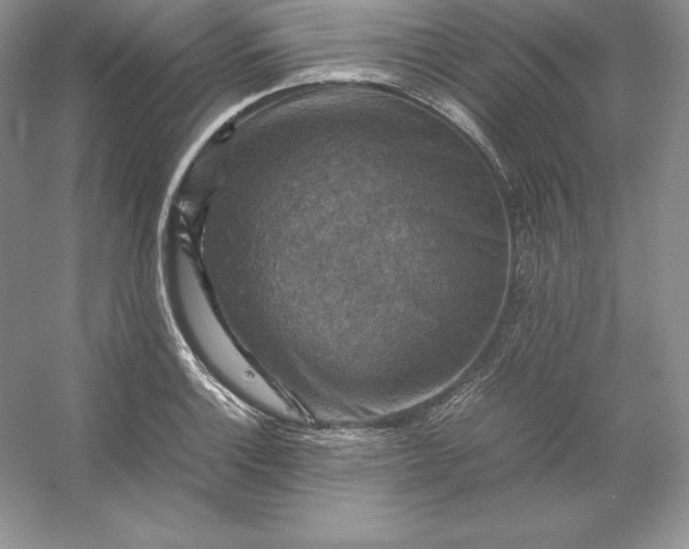 X0000053131132200507251742