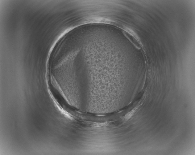 X0000053131136200507251742