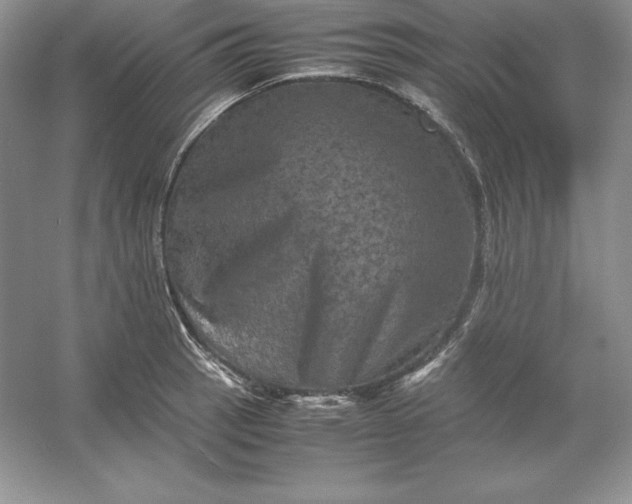 X0000053131137200507251742