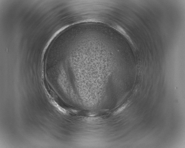 X0000053131140200507251742