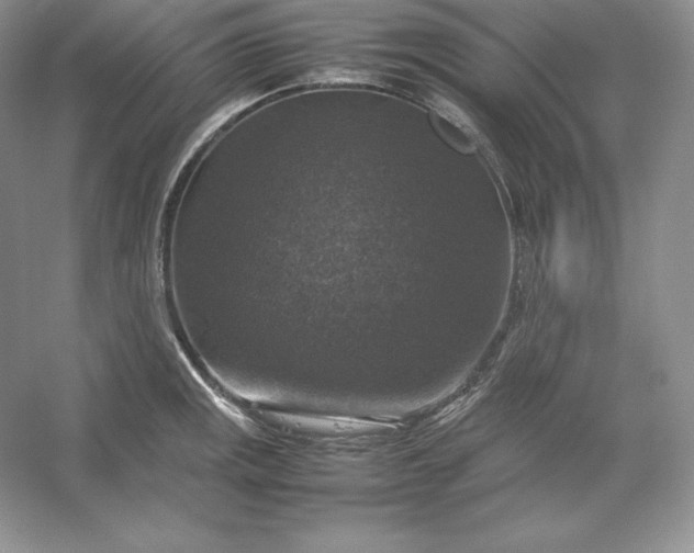 X0000053131141200507251742