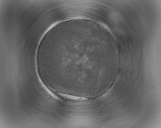 X0000053131142200507251742