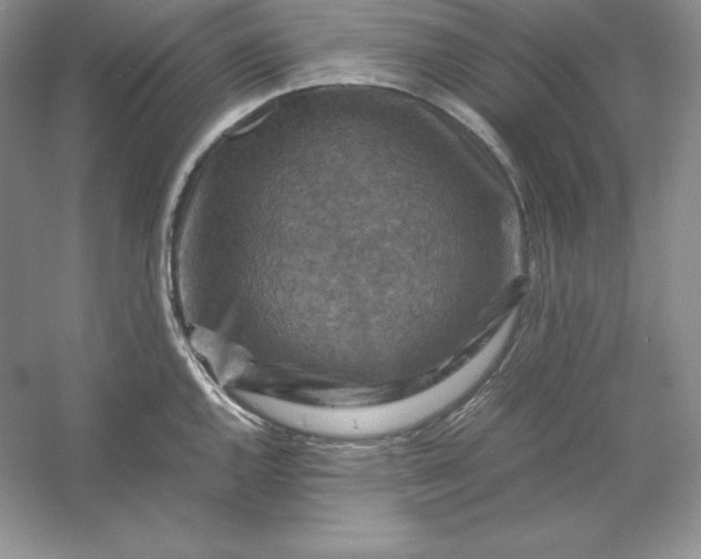 X0000053131144200507251742