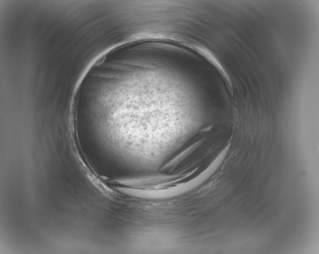 X0000053131148200507251742