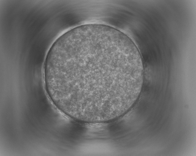 X0000053131150200507251743