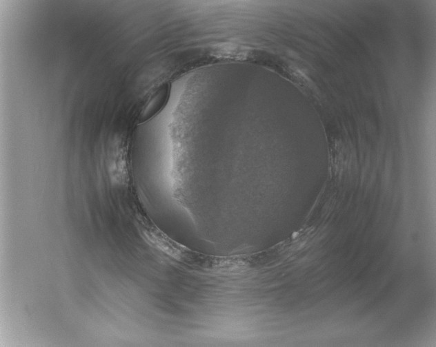 X0000053131154200507251742