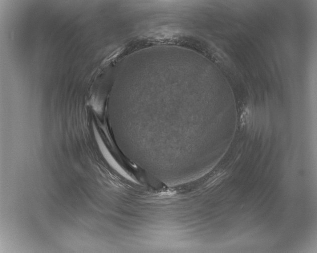 X0000053131156200507251742