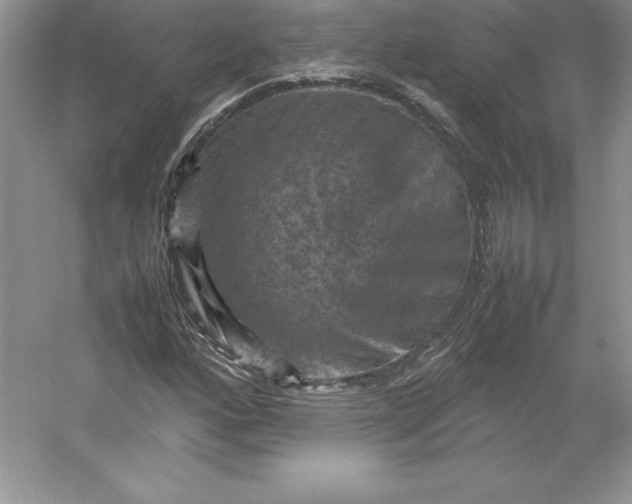 X0000053131160200507251742