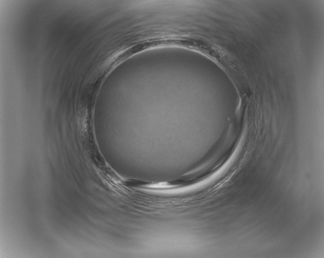 X0000053131161200507251742
