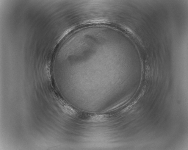 X0000053131162200507251742
