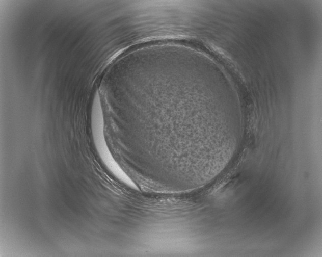 X0000053131169200507251741