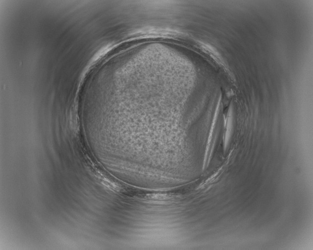X0000053131172200507251741