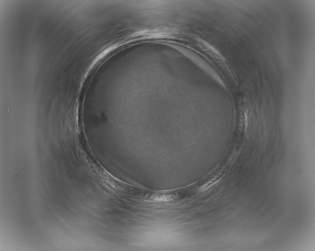 X0000053131174200507251741