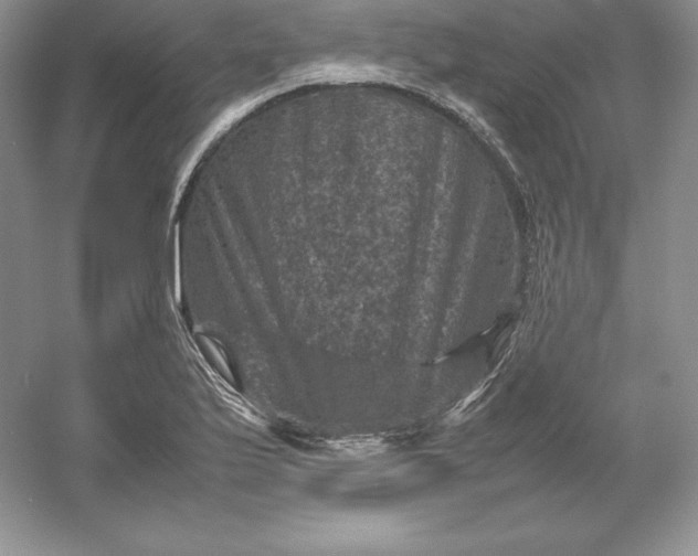 X0000053131175200507251741