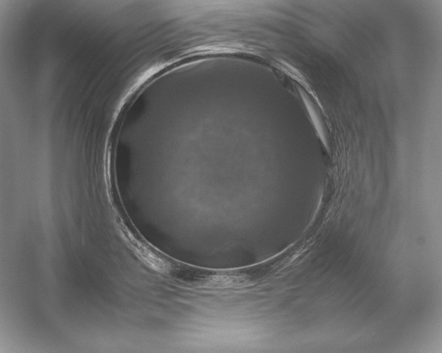 X0000053131179200507251741