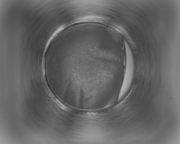 X0000053131180200507251741