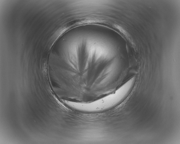 X0000053131185200507251741