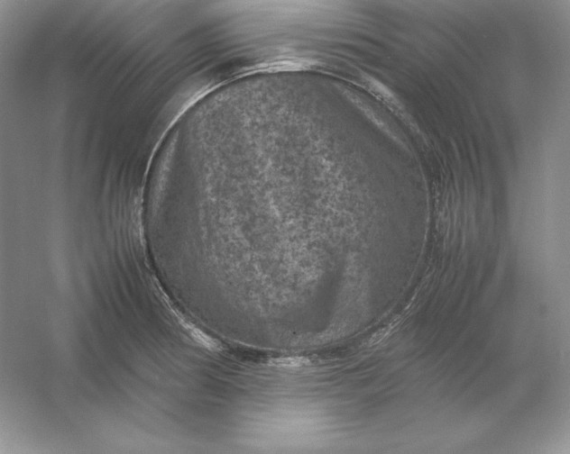 X0000053131186200507251741