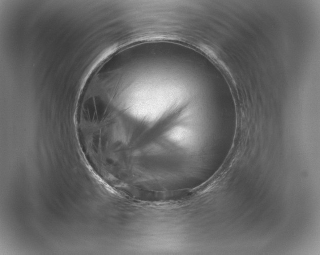 X0000053131189200507251741
