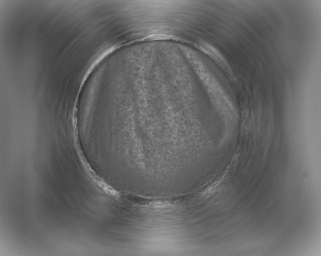 X0000053131190200507251741