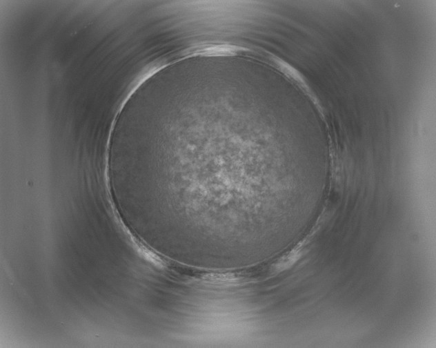 X0000053131194200507251741