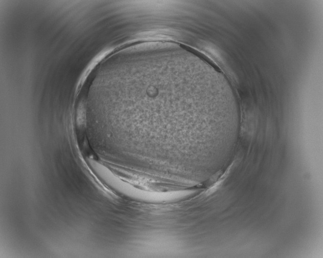 X0000053131196200507251741