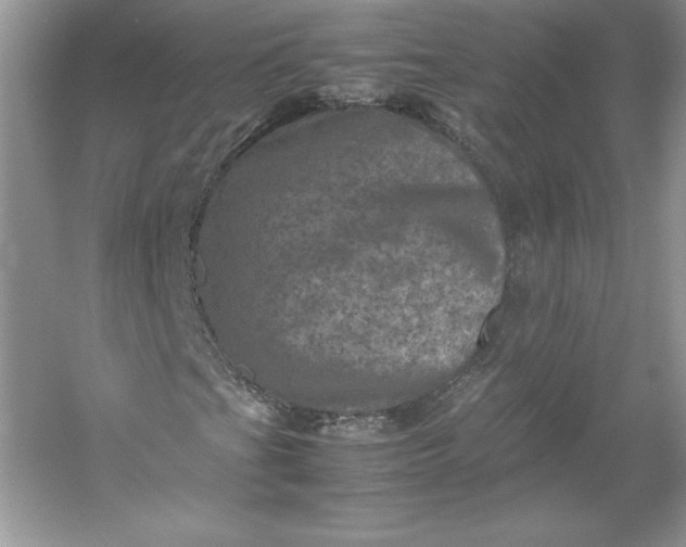 X0000053131201200507251740