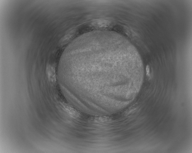 X0000053131203200507251740