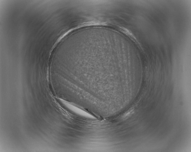 X0000053131220200507251740