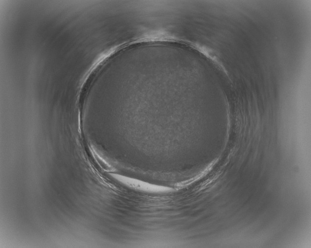 X0000053131221200507251740
