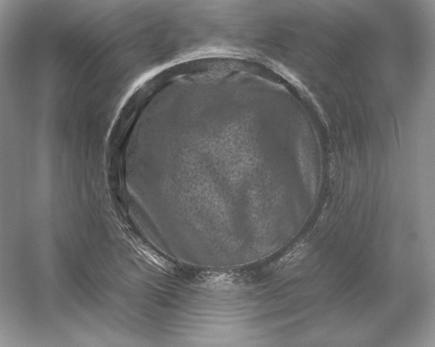 X0000053131222200507251740