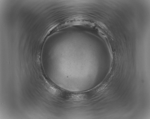 X0000053131225200507251741