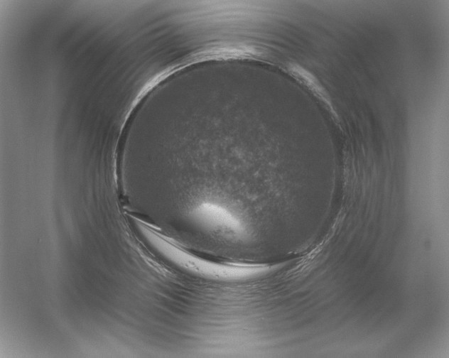 X0000053131226200507251741